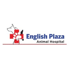 English Plaza Animal Hospital